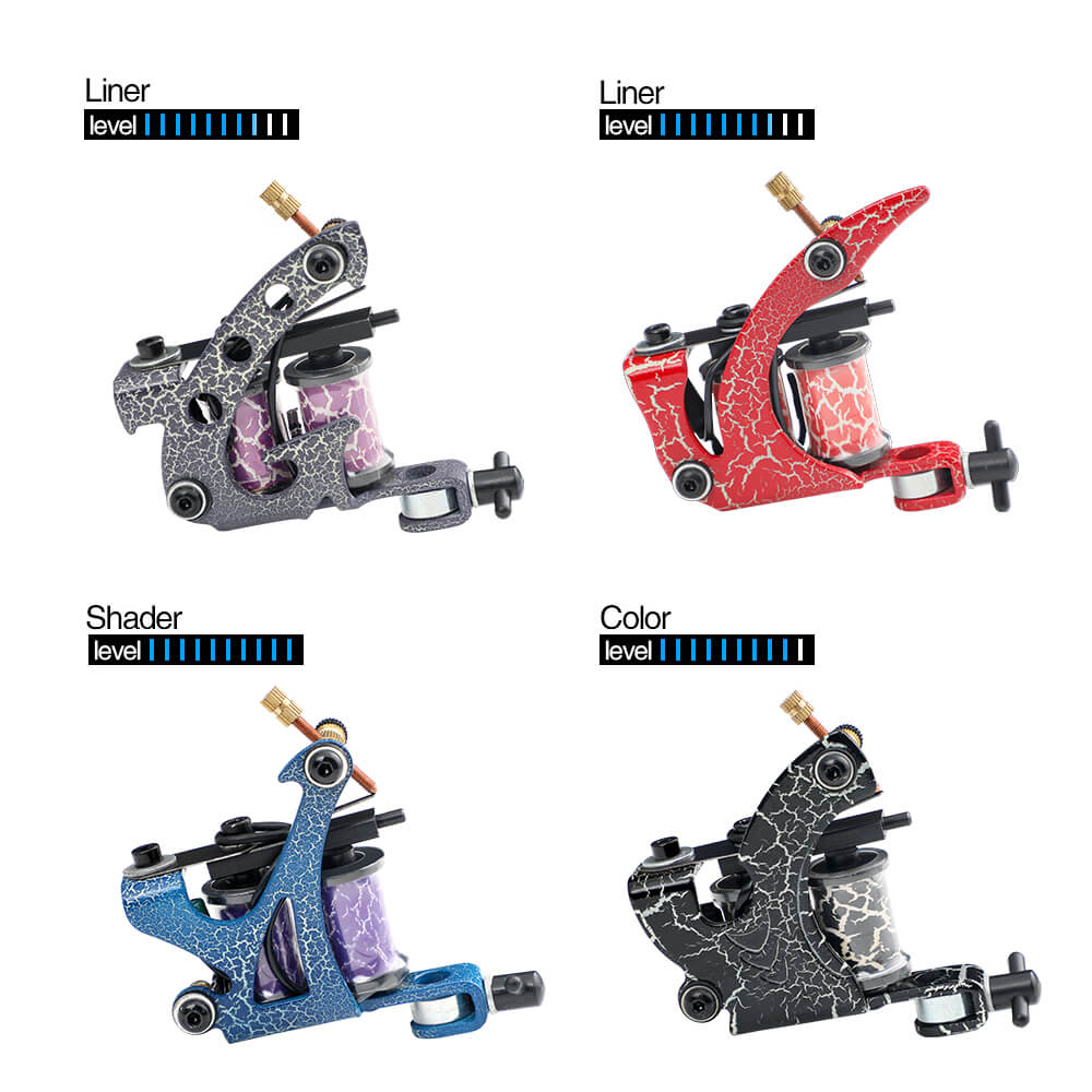 Solong Tattoo Traditional Pro Complete Tattoo Kit Liner & Shader Coil Tattoo Machines TK456